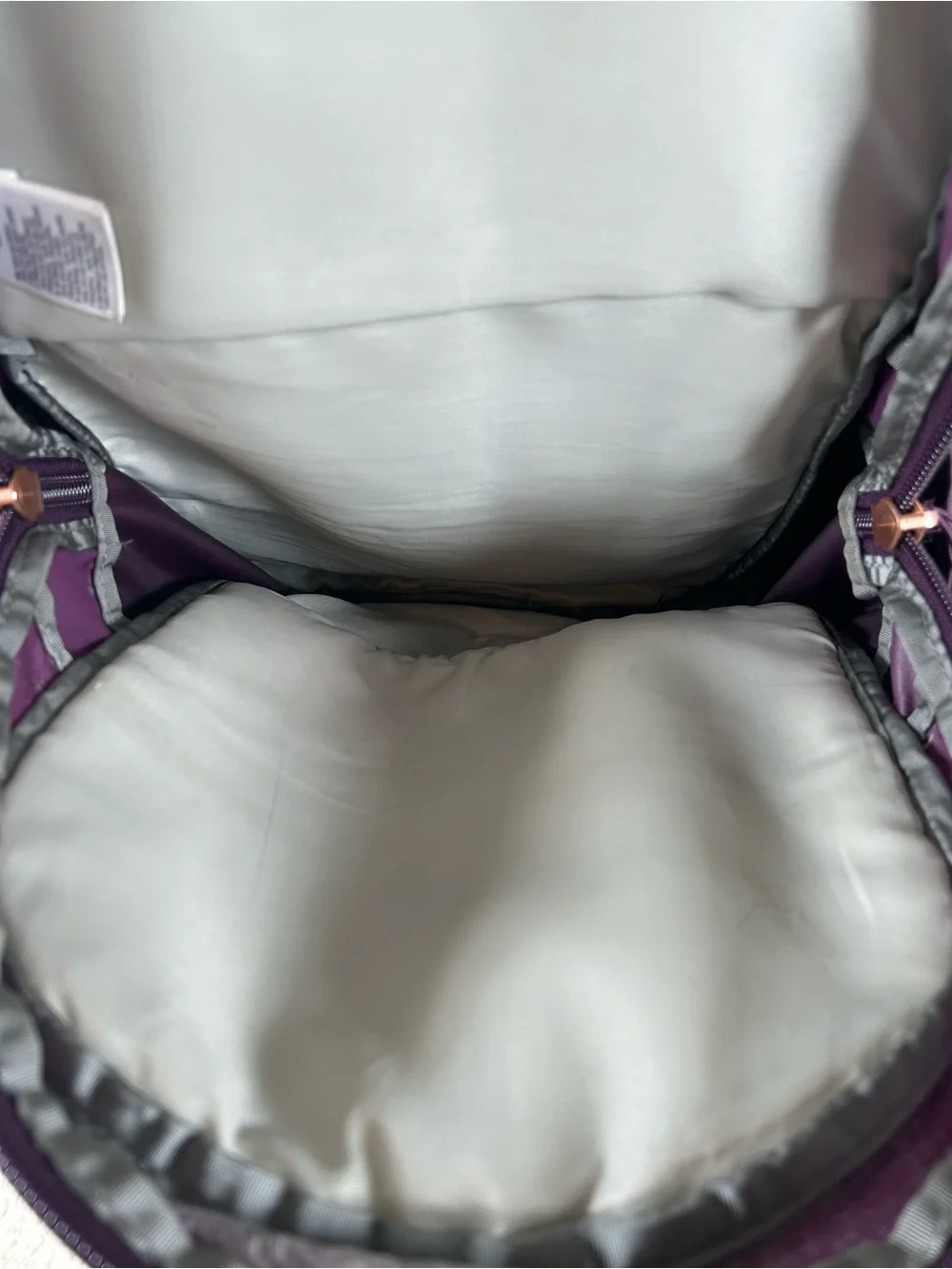 The North Face Recon 30L Purple Gorpcore Utility Outdoor Hiking